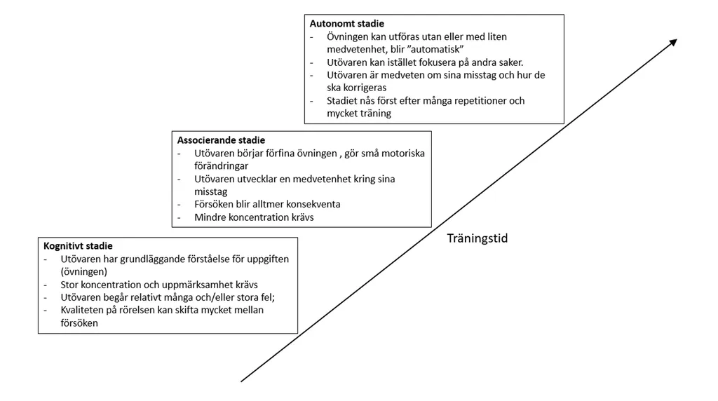 Modell för inlärning av motoriska rörelsemönster (Fitts et al 1954, anpassad av Ulf Andersson 2021)